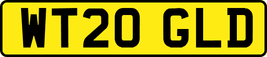 WT20GLD