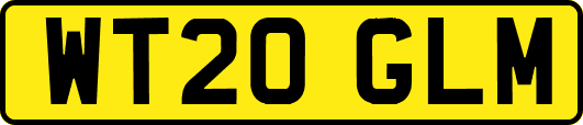WT20GLM