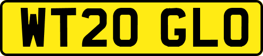 WT20GLO