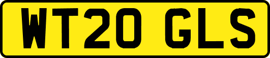 WT20GLS