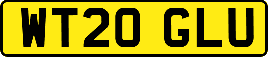 WT20GLU