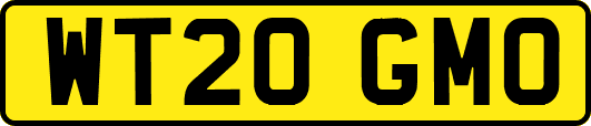 WT20GMO