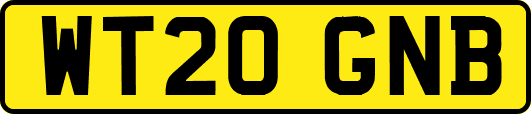 WT20GNB