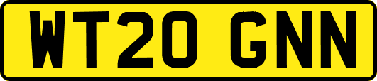 WT20GNN