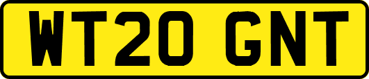 WT20GNT