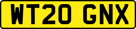 WT20GNX