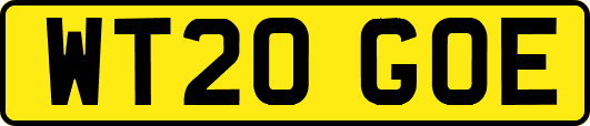 WT20GOE