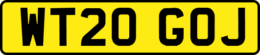 WT20GOJ