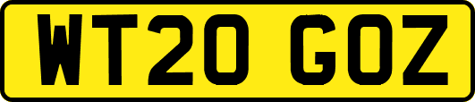 WT20GOZ