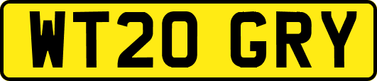 WT20GRY