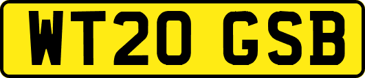 WT20GSB