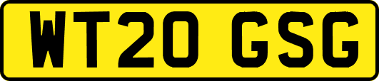 WT20GSG