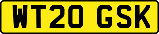 WT20GSK