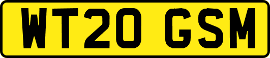 WT20GSM