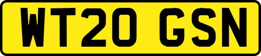 WT20GSN