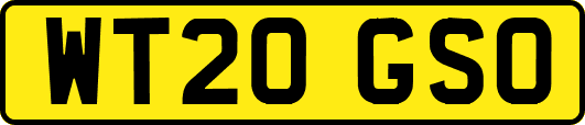WT20GSO