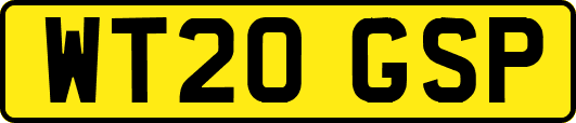 WT20GSP