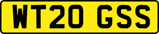 WT20GSS