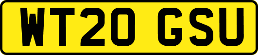 WT20GSU