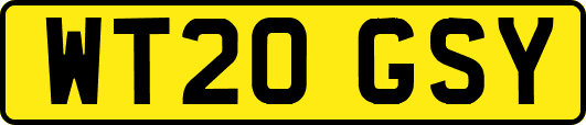 WT20GSY