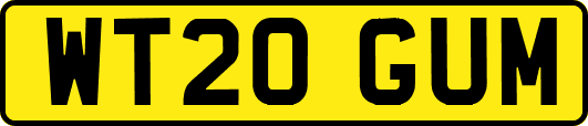 WT20GUM
