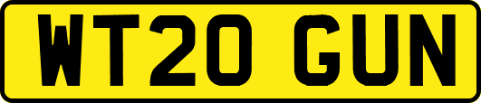 WT20GUN