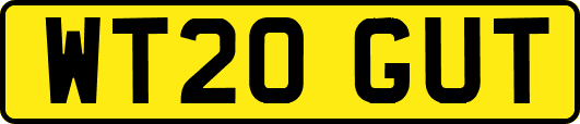 WT20GUT
