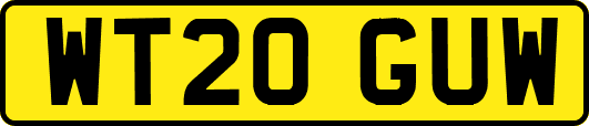 WT20GUW