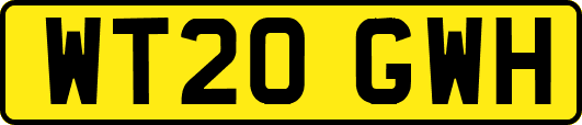 WT20GWH