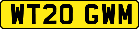 WT20GWM