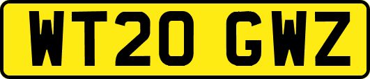 WT20GWZ