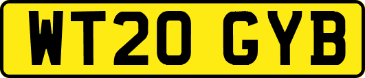 WT20GYB