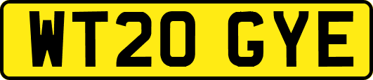 WT20GYE