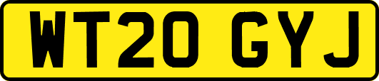 WT20GYJ
