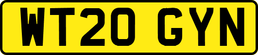 WT20GYN