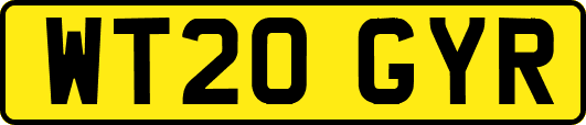 WT20GYR