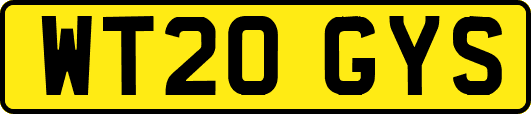 WT20GYS