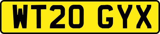 WT20GYX