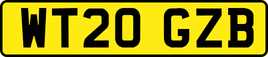 WT20GZB
