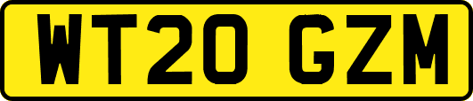 WT20GZM