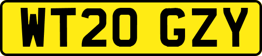 WT20GZY