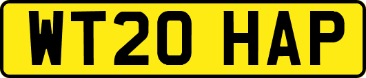 WT20HAP