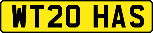 WT20HAS