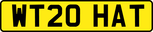 WT20HAT