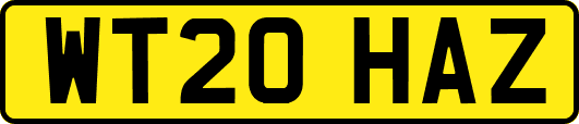 WT20HAZ