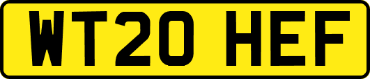 WT20HEF