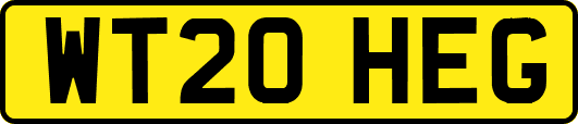 WT20HEG