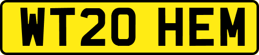 WT20HEM