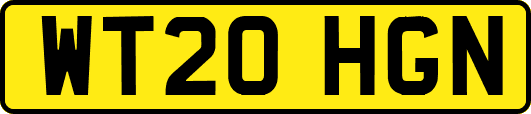 WT20HGN