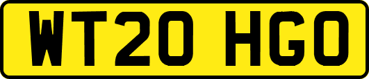 WT20HGO